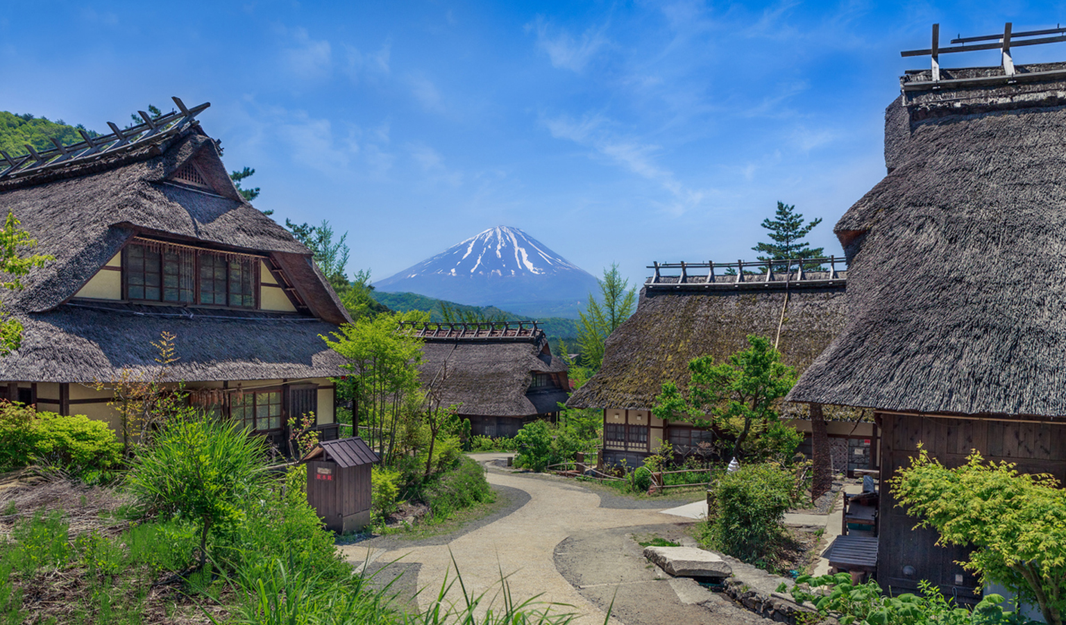 FREEPLUSの画像